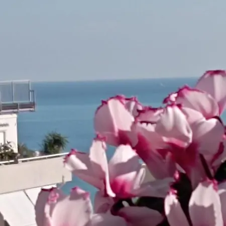 Terrazza M & G *