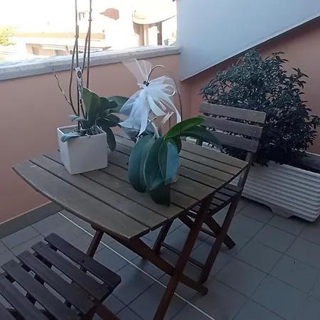 Apartment Terrazza M & G *