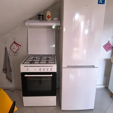 Terrazza M & G Apartment *